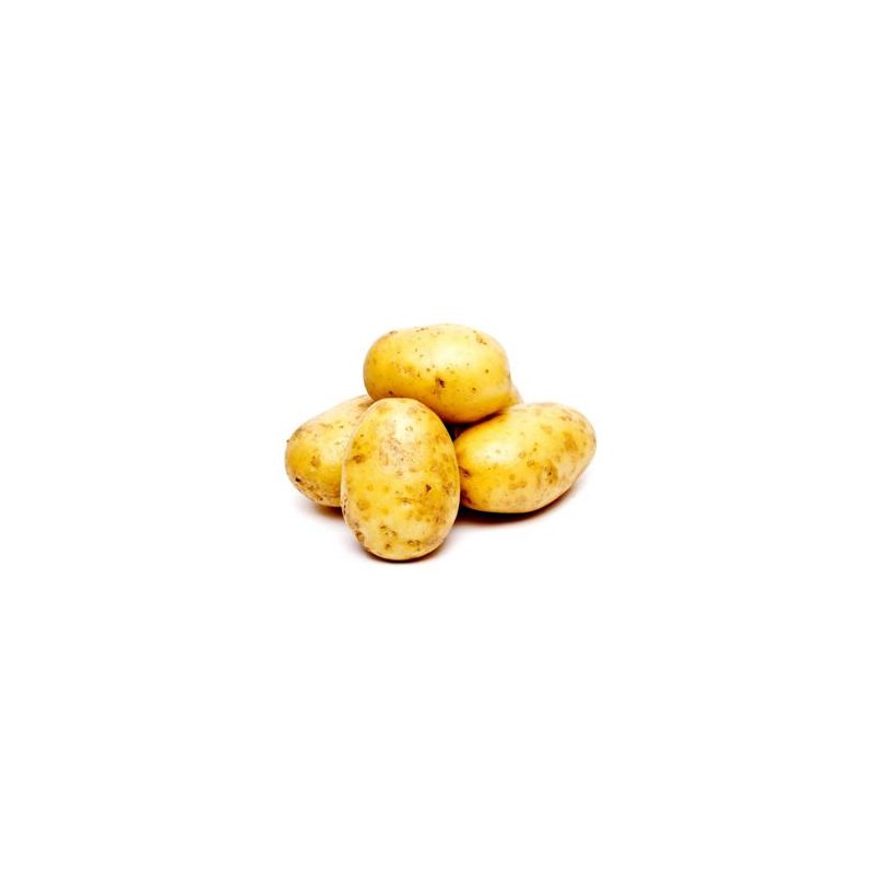 Poireaux, pommes de terre Pommes de terre Charlotte bio au Kg LEGUMES DE VALBO Poireaux, pommes de terre Pommes de terre Charlotte bio au Kg LEGUMES DE VALBO