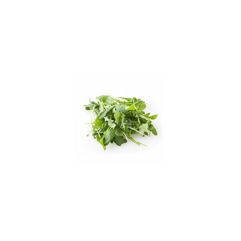 Salades, herbes aromatiques-Roquette biologique- la botte-RONAN LE GALL