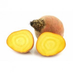 Carottes, Betteraves, navets Betterave jaune bio- 500 grs RONAN LE GALL