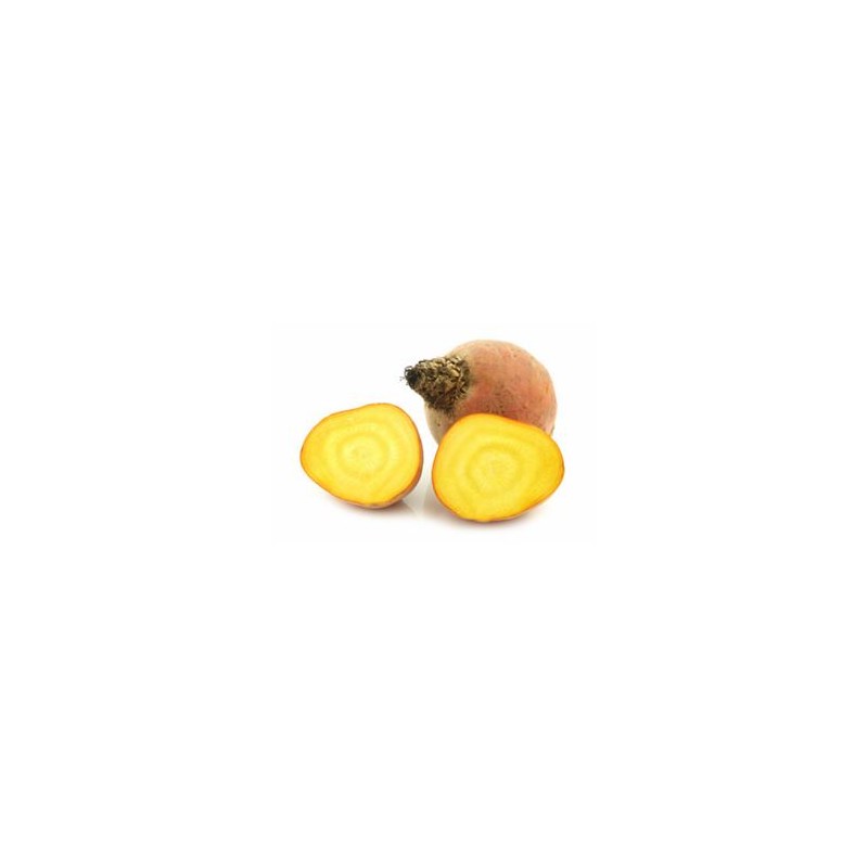 Carottes, Betteraves, navets Betterave jaune bio- kg RONAN LE GALL Carottes, Betteraves, navets Betterave jaune bio- kg RONAN LE GALL
