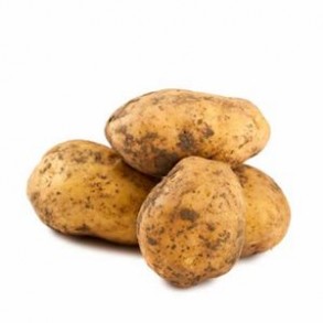 Poireaux, pommes de terre Pomme de terre Passion Bio au kg LEGUMES DE VALBO