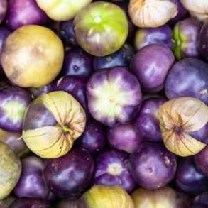 Les fruits d'ici Tomatillo bio - 500 grs LEGUMES DE VALBO