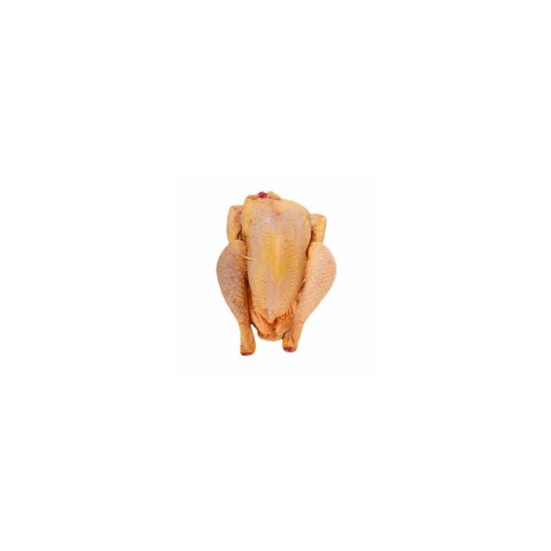 Viandes et Charcuterie-Poulet fermier cou nu noir - de 2.2. à 2.6 Kg-FERME HAIE DUVAL Viandes et Charcuterie-Poulet fermier cou nu noir - de 2.2. à 2.6 Kg-FERME HAIE DUVAL