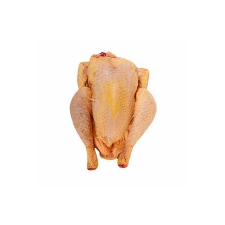 Poulet fermier cou nu noir - de 2.2. à 2.6 KgViandes et charcuterieFERME HAIE DUVAL
