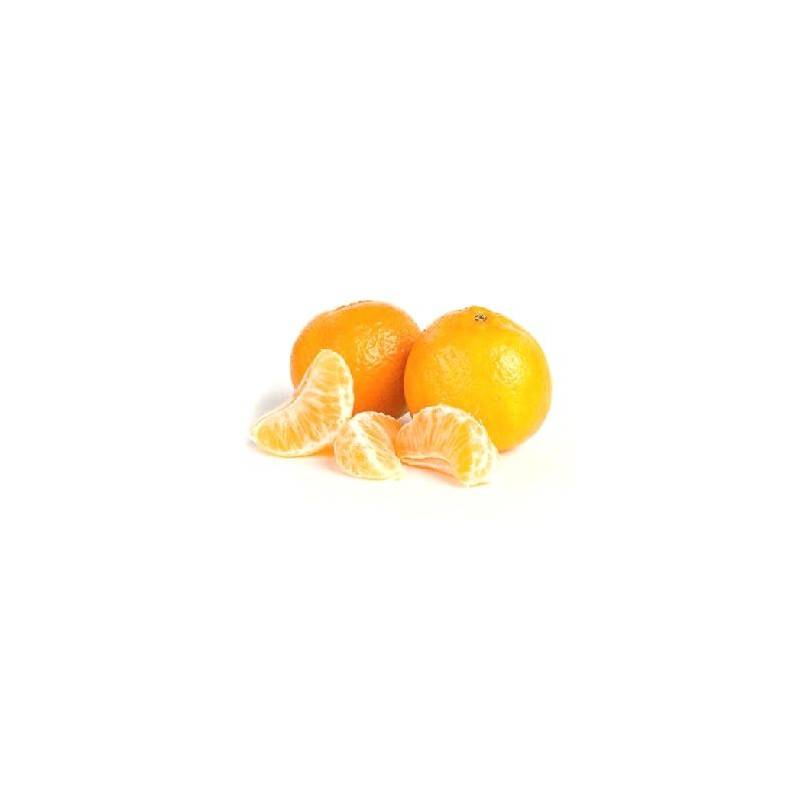 Fruits BIO Mandarine Bio (Italie) - Kg BIO RENNES