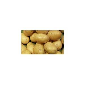 Poireaux, pommes de terre Pommes de terre bio -Maïwen 10 kg BIO RENNES