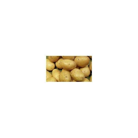 Pommes de terre bio -Maïwen 10 kgPoireaux, pommes de terreBIO RENNES
