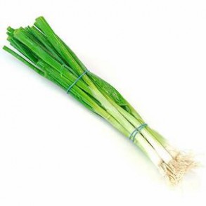 Ail, oignons et échalotes Oignon cebette bio - la botte LEGUMES DE VALBO