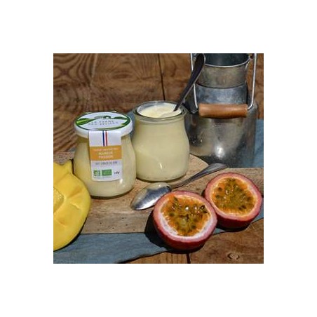 Yaourt BIO Mangue Passion- 140 grsYaourts (vache)LA FERME DES DELICES
