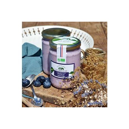 Yaourt brassé BIO Myrtille - Pot 550 grsYaourts (vache)LA FERME DES DELICES
