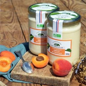 Yaourts (vache)-Yaourt brassé BIO abricot - pot 550 grs-LA FERME DES DELICES