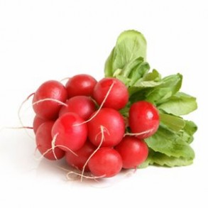 Choux, radis ... Radis rouge rond- la Botte GAEC BOCEL NON BIO