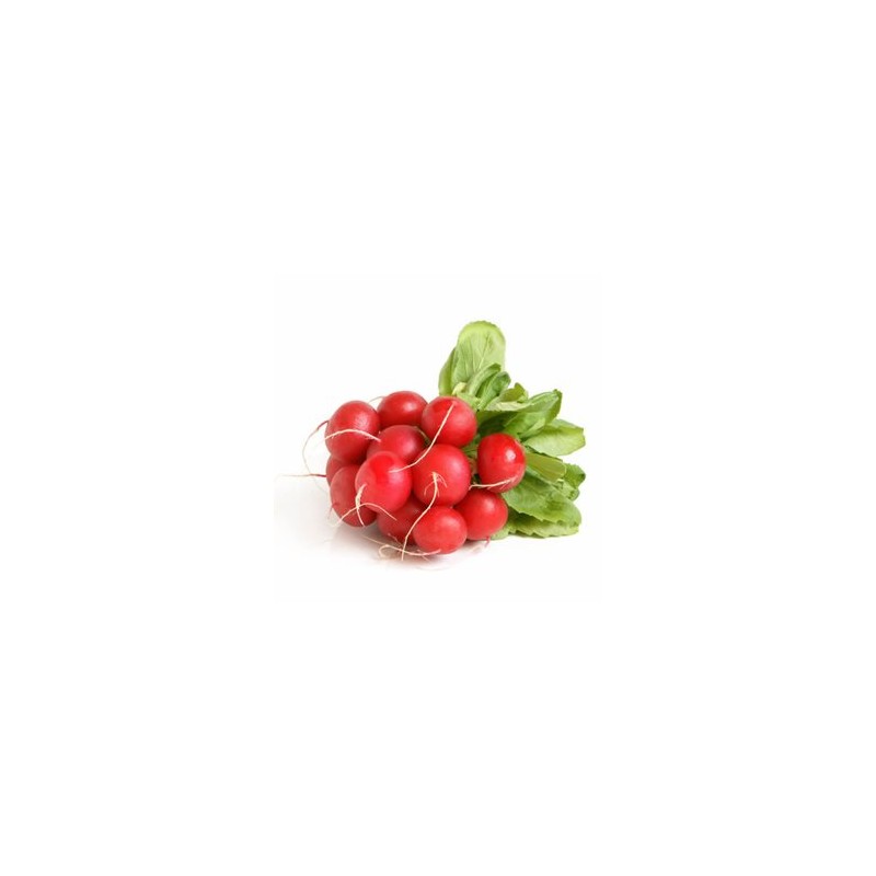 Choux, radis ... Radis rouge rond- la Botte GAEC BOCEL NON BIO Choux, radis ... Radis rouge rond- la Botte GAEC BOCEL NON BIO