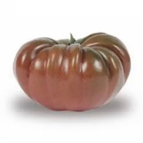 Tomates et concombres Tomate cotelée Noire bio- kg BIO RENNES