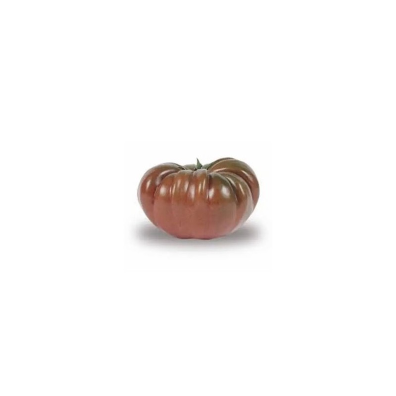 Tomates et concombres Tomate cotelée Noire bio- kg BIO RENNES Tomates et concombres Tomate cotelée Noire bio- kg BIO RENNES