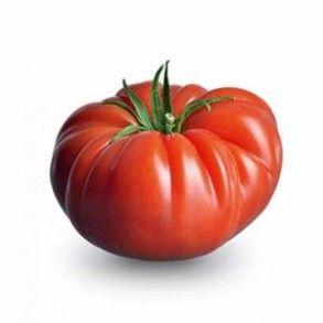 Tomates et concombres Tomate cotelée rouge bio- kg BIO RENNES