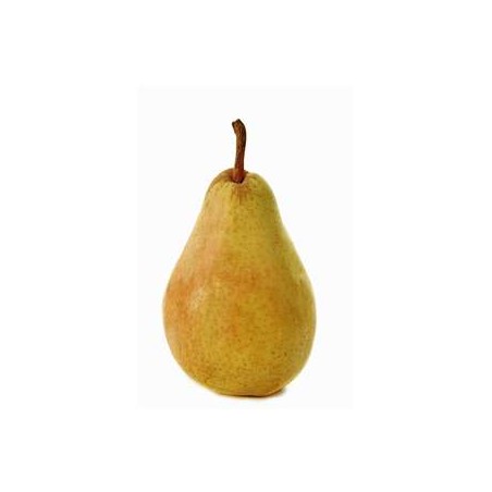 Poire Guyot bio- KgFruits BIOBIO RENNES