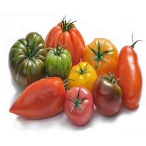Tomates et concombres bio-Tomate assortiment bio- kg-BIO RENNES