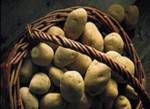 Pommes de terre bio - EDEN au kg