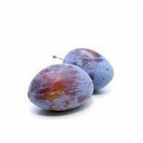 Les fruits d'ici Prune (bleue) BIO- 500 grs BIO RENNES