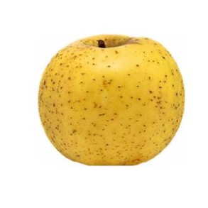 Les fruits d'ici Pomme bio - Belchard au kg VERGER MITAN CRANNE