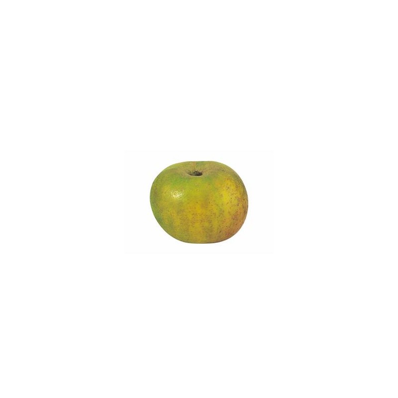 Pomme bio Reinette Clochard- KgLes fruitsVERGER MITAN CRANNE