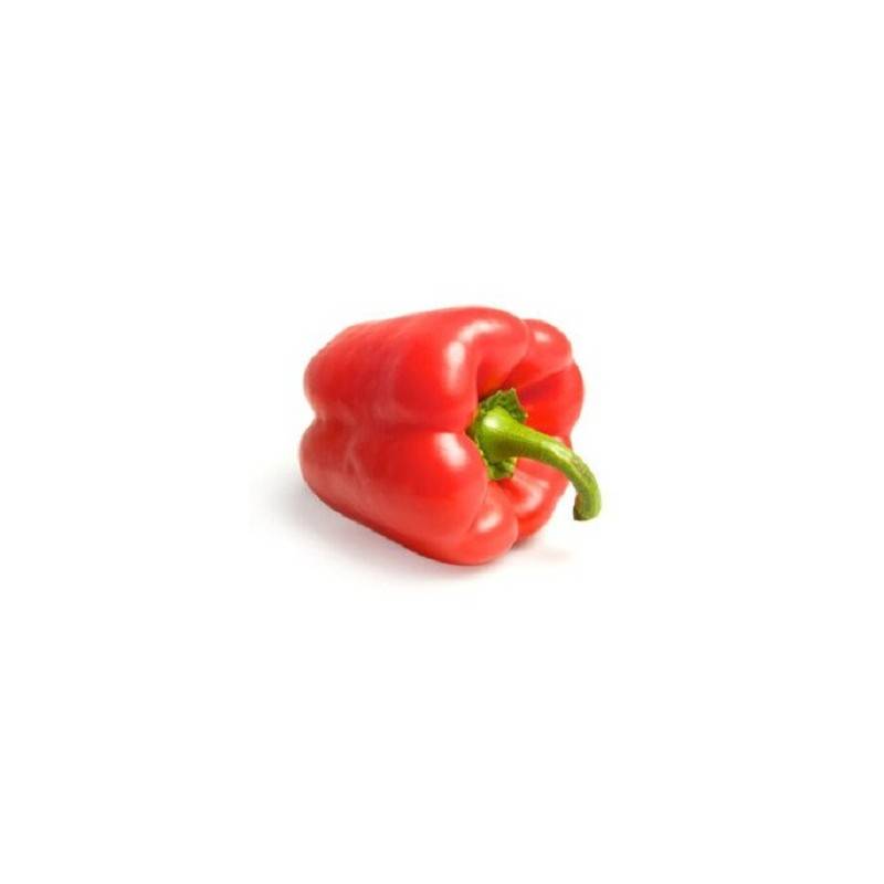 Poivron Rouge -500 grsFruits et légumesBIO RENNES