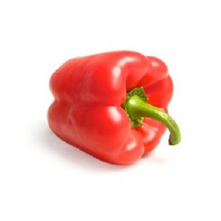 Poivron Rouge -500 grsFruits et légumesBIO RENNES
