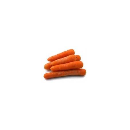 Carottes bio- orange - kgDivers légumes frais bioRONAN LE GALL