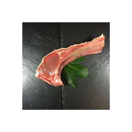 Côte d'agneau première x1AgneauBARON SYLVAIN - Agneau