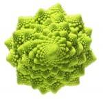 Légumes biologiques-Chou Romanesco bio- la pièce-GABILLARD EARL