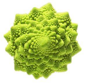 Chou Bio Romanesco- PièceChoux, épinard, radisMarie et Ludovic