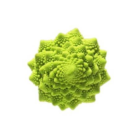 Chou Bio Romanesco- PièceChoux, épinard, radisMarie et Ludovic