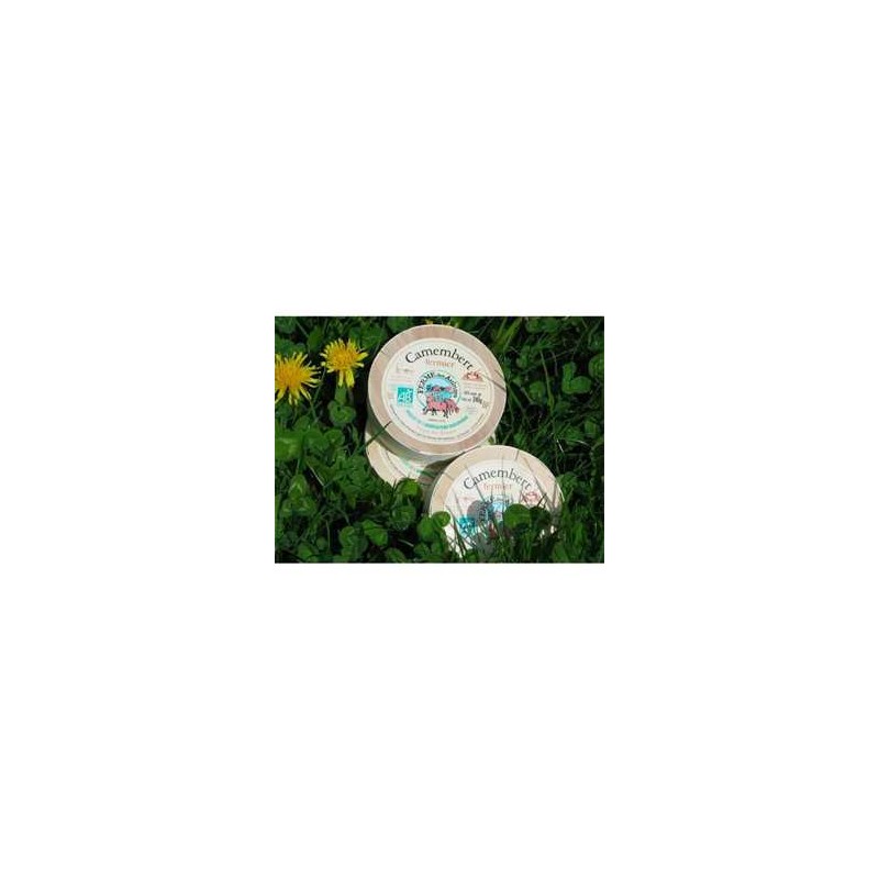 camemberts, raclette-Camembert lait cru Aulnays bio-BIODIS FRAIS