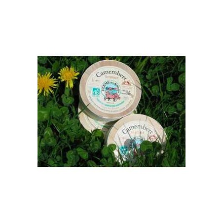 Camembert lait cru Aulnays biocamemberts, racletteBIODIS FRAIS
