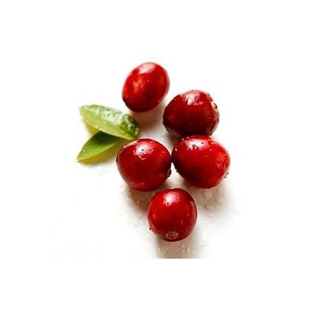 Pur jus Cranberry BIO- 75 clJus de fruits et eauVITAMONT