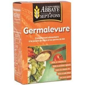 Commander en ligne-Germalevure Paillettes 250g-BIODIS