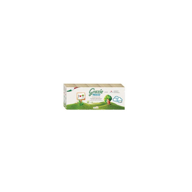 Produits Bio Paquet de mouchoirs (10 étuis) Pour la maison Produits Bio Paquet de mouchoirs (10 étuis) Pour la maison
