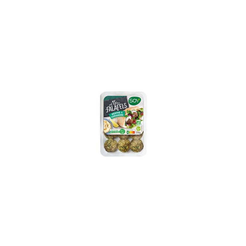 Autres produits frais-Falafel bio menthe et coriande- 250 grs-BIODIS FRAIS