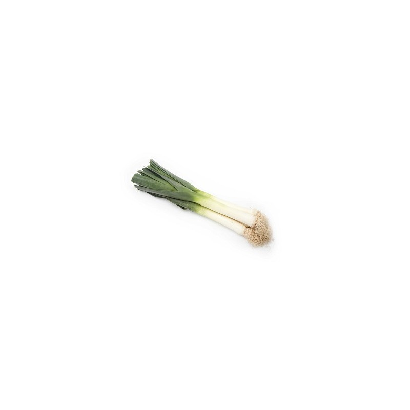 Rayons fruits, légumes, frais, autres-Poireaux Bio - 500g-BIO RENNES