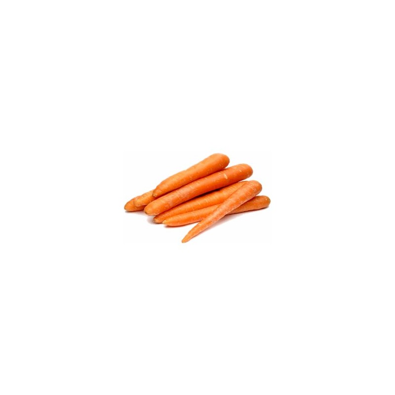 Carottes, Betteraves, navets Carottes bio- Lavées- 1 kg BIO RENNES