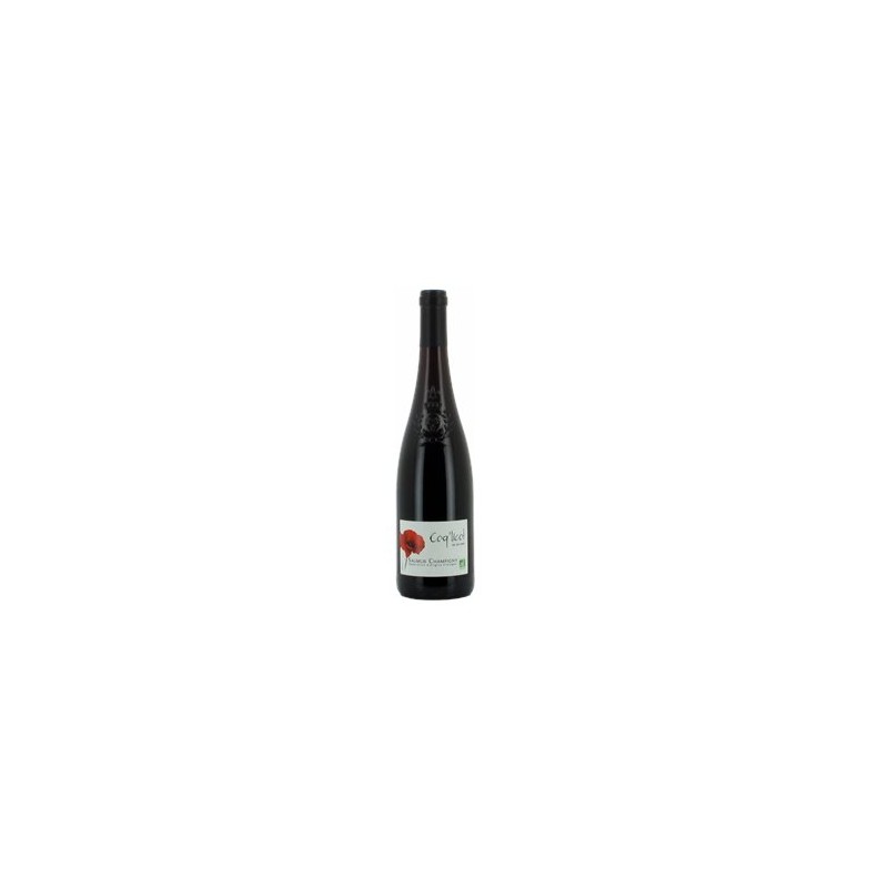 vin rouge-Vin AOC Saumur champigny-BIODIS