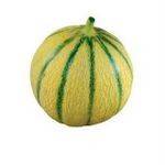 Fruits frais Melon bio-470 GRS ENV BIO RENNES