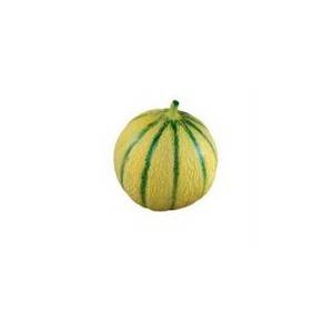 Fruits frais Melon bio-470 GRS ENV BIO RENNES Fruits frais Melon bio-470 GRS ENV BIO RENNES