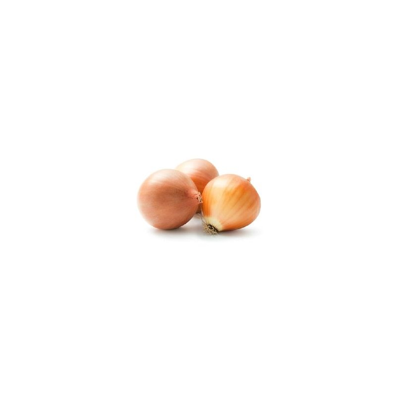 Ail, oignons, échalotte bio-oignon jaune GRELOT bio- 500 grs-LEGUMES DE VALBO Ail, oignons, échalotte bio-oignon jaune GRELOT bio- 500 grs-LEGUMES DE VALBO