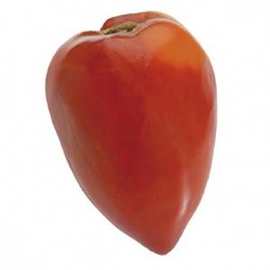Tomates et concombres-Tomate coeur de boeuf -kg-GAEC BOCEL NON BIO Tomates et concombres-Tomate coeur de boeuf -kg-GAEC BOCEL NON BIO