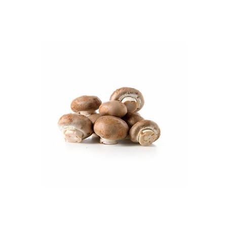 Champignon brun bio- cageot 2 kgchampignons bioBIO RENNES