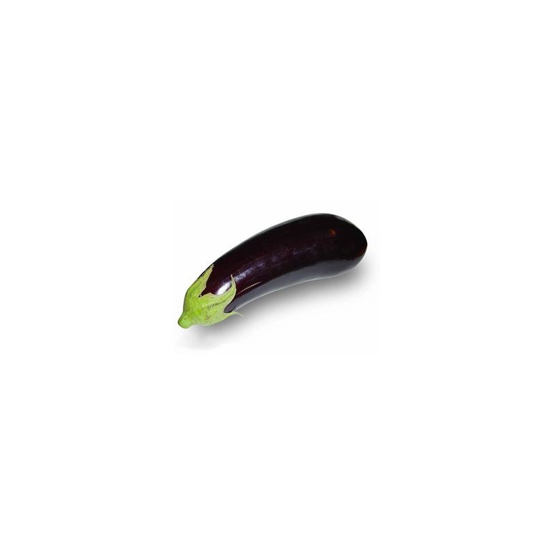 Aubergine bio- 1 kg envAsperges, courgettes, auberginesMarie et Ludovic