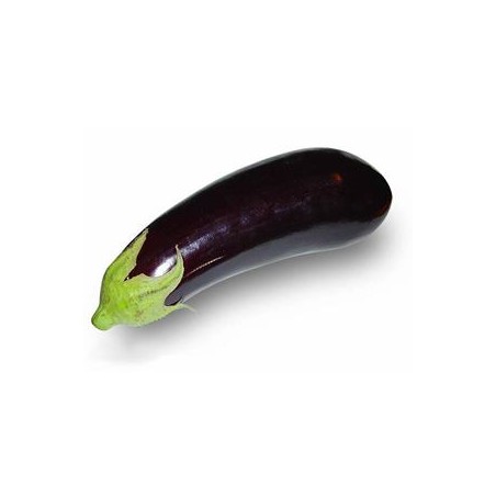 Aubergine bio- 1 kg envAsperges, courgettes, auberginesMarie et Ludovic