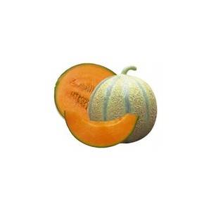 Melon charentais bio (france)- 650/800Divers légumesBIO RENNES